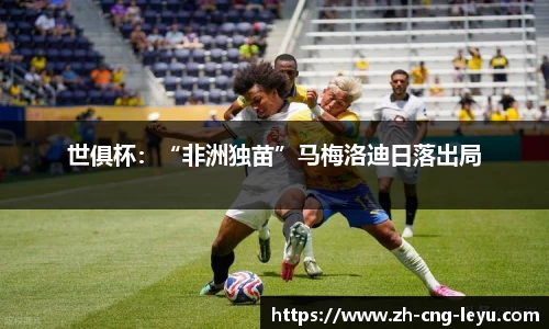乐鱼APP